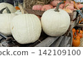 White pumpkins on wooden table autumn harvest display rustic countryside farm 142109100