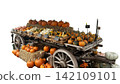 Old cart loaded with pumpkins isolated on white background rustic countryside 142109101