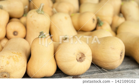 Butternut squash heap rustic farm market autumn harvest natural food and cozy Butternut squash heap rustic farm market autumn harvest natural food and cozy 142109102