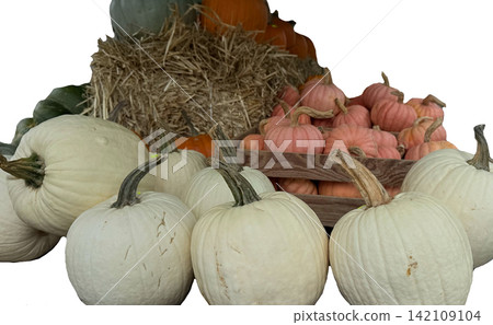 White and orange pumpkins on hay autumn harvest vegetables seasonal White and orange pumpkins on hay autumn harvest vegetables seasonal 142109104