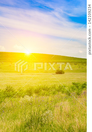 Countryside rural environment with beautiful green hills and fields at morning sun Countryside rural environment with beautiful green hills and fields at morning sun 142109234