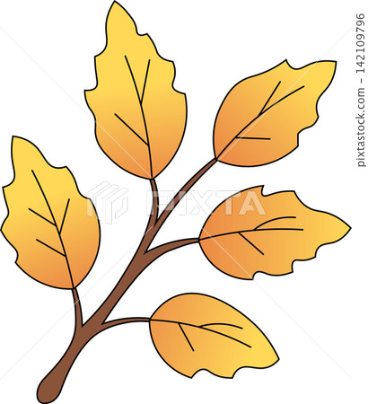 Autumn golden yellow leaves branch with five leafy twigs for seasonal fall foliage nature tree garden decoration design element 142109796