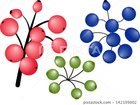 Autumn wild berries branches set with red blue and green berry twigs for natural botanical floral arrangement seasonal decoration design Autumn wild berries branches set with red blue and green berry twigs for natural botanical floral arrangement seasonal decoration design 142109802