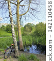 Bicycle resting against a birch tree near a pond, capturing a mindful outdoor break and the calming pause during a bike ride. 142110458