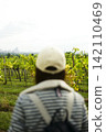 Woman wearing a cap looking at a vineyard and city skyline, illustrating vineyard aesthetics in the harvest period in Vienna. 142110469