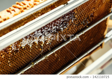 Macro close up of fresh raw liquid honey filled inside wax honeycomb cells texture background Macro close up of fresh raw liquid honey filled inside wax honeycomb cells texture background 142110725