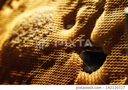 Macro close up of fresh raw liquid honey filled inside wax honeycomb cells texture background Macro close up of fresh raw liquid honey filled inside wax honeycomb cells texture background 142110727