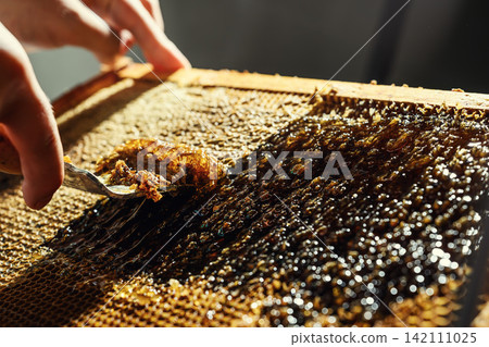 Beekeeper uncapping honeycomb frame with uncapping fork tool for honey extraction process Beekeeper uncapping honeycomb frame with uncapping fork tool for honey extraction process 142111025