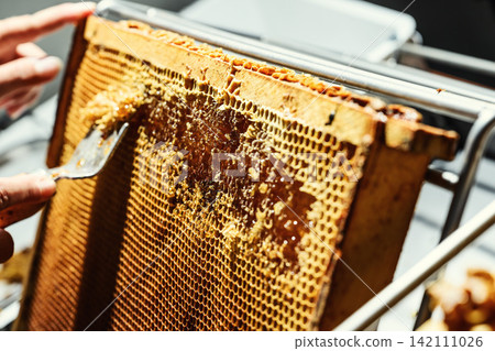 Beekeeper uncapping honeycomb frame with uncapping fork tool for honey extraction process Beekeeper uncapping honeycomb frame with uncapping fork tool for honey extraction process 142111026