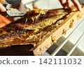 Beekeeper uncapping honeycomb frame with uncapping fork tool for honey extraction process 142111032