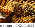 Beekeeper uncapping honeycomb frame with uncapping fork tool for honey extraction process 142111033