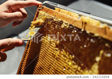Beekeeper uncapping honeycomb frame with uncapping fork tool for honey extraction process Beekeeper uncapping honeycomb frame with uncapping fork tool for honey extraction process 142111034