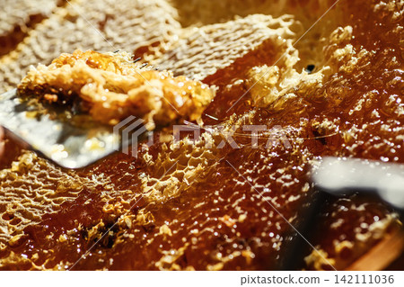 Beekeeper uncapping honeycomb frame with uncapping fork tool for honey extraction process Beekeeper uncapping honeycomb frame with uncapping fork tool for honey extraction process 142111036