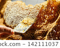 Beekeeper uncapping honeycomb frame with uncapping fork tool for honey extraction process 142111037
