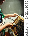 Beekeeper uncapping honeycomb frame with uncapping fork tool for honey extraction process 142111040