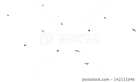 Flying birds silhouette flock. hand drawing. Not AI. Vector illustration Flying birds silhouette flock. hand drawing. Not AI. Vector illustration 142111046