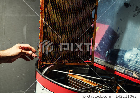 Beekeeper loading wooden frame with honeycomb into centrifugal honey extractor machine Beekeeper loading wooden frame with honeycomb into centrifugal honey extractor machine 142111062