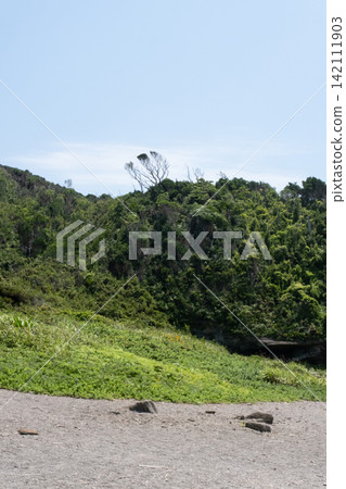神奈川縣三浦半島城島海岸的景色 神奈川縣三浦半島城島海岸的景色 142111903