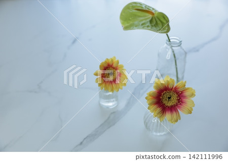鮮花放在花瓶裡 鮮花放在花瓶裡 142111996
