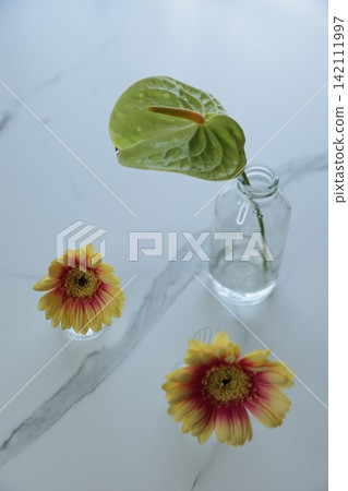 鮮花放在花瓶裡 鮮花放在花瓶裡 142111997