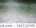 The texture of ripples on a calm river surface 142112345
