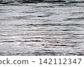 The texture of the patterns on the river surface created by the water flow. 142112347