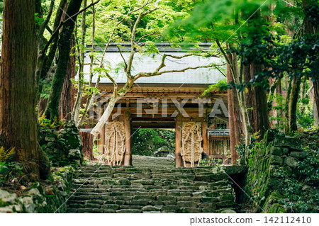 [Higashiomi City, Shiga Prefecture] Kudara-ji Temple, Niomon Gate 142112410