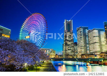 Yokohama: Night view of Minato Mirai with cherry blossoms in full bloom Yokohama: Night view of Minato Mirai with cherry blossoms in full bloom 142112801