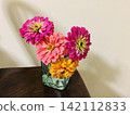 Edible Flowers: Zinnia 142112833