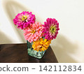 Edible Flowers: Zinnia 142112834