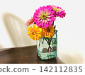 Edible Flowers: Zinnia 142112835