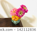 Edible Flowers: Zinnia 142112836