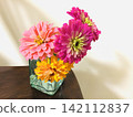 Edible Flowers: Zinnia 142112837