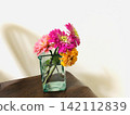 Edible Flowers: Zinnia 142112839