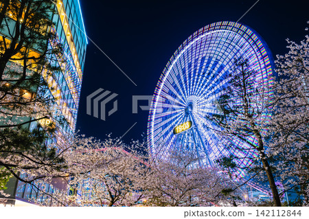 Yokohama Ferris wheel and cherry blossoms, night view of Minato Mirai Yokohama Ferris wheel and cherry blossoms, night view of Minato Mirai 142112844
