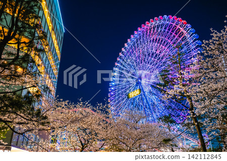 Yokohama Ferris wheel and cherry blossoms, night view of Minato Mirai Yokohama Ferris wheel and cherry blossoms, night view of Minato Mirai 142112845