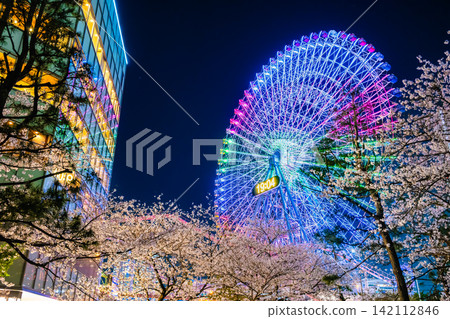 Yokohama Ferris wheel and cherry blossoms, night view of Minato Mirai Yokohama Ferris wheel and cherry blossoms, night view of Minato Mirai 142112846