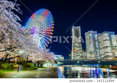 Yokohama: Night view of Minato Mirai with cherry blossoms in full bloom Yokohama: Night view of Minato Mirai with cherry blossoms in full bloom 142112894