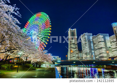 Yokohama: Night view of Minato Mirai with cherry blossoms in full bloom Yokohama: Night view of Minato Mirai with cherry blossoms in full bloom 142112895