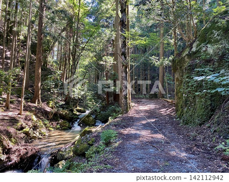 A forest path, dappled with sunlight, continues deep into the woods along a mountain stream. A forest path, dappled with sunlight, continues deep into the woods along a mountain stream. 142112942
