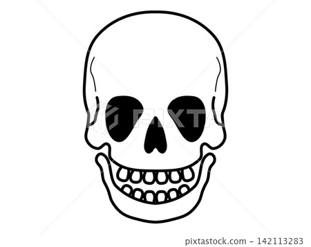 Illustration of skeleton 142113283