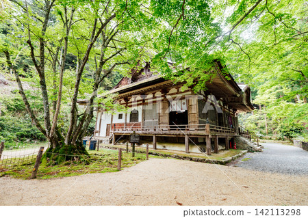 [Higashiomi City, Shiga Prefecture] Hyakusaiji Temple: Main Hall and Thousand-Year-Old Bodhi Tree 142113298