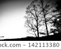 High-contrast, monochrome landscape 142113380