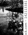 The autumn scenery of Nakajima Park is high-contrast and monochrome. 142113381