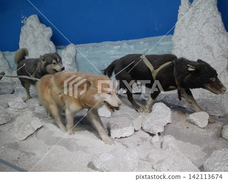 Dog sled (stuffed) Dog sled (stuffed) 142113674