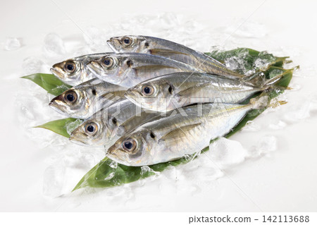 小竹莢魚,加冰。 小竹莢魚,加冰。 142113688