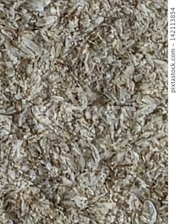 Dry organic seed husks and wood shavings texture macro Dry organic seed husks and wood shavings texture macro 142113854