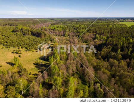 Green woodland, central Russia Green woodland, central Russia 142113979