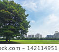 Lush green parks and cityscapes 142114951