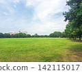 Lush green parks and cityscapes 142115017